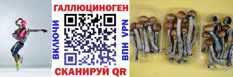 Купить где  Ряжск  Галлюциногенные грибы ЛСД 